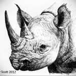 фото эскиза тату носорог 02.02.2020 №025 -rhino tattoo sketches- tatufoto.com