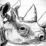 эскиз тату носорог 02.02.2020 №001 -rhino tattoo sketches- tatufoto.com