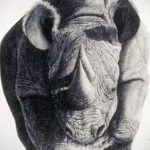 эскиз тату носорог 02.02.2020 №002 -rhino tattoo sketches- tatufoto.com