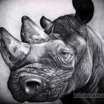 эскиз тату носорог 02.02.2020 №014 -rhino tattoo sketches- tatufoto.com