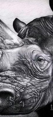 эскиз тату носорог 02.02.2020 №014 -rhino tattoo sketches- tatufoto.com