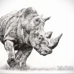 эскиз тату носорог 02.02.2020 №018 -rhino tattoo sketches- tatufoto.com