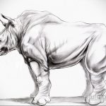 эскиз тату носорог 02.02.2020 №023 -rhino tattoo sketches- tatufoto.com