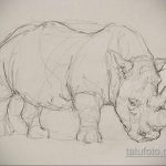эскиз тату носорог 02.02.2020 №037 -rhino tattoo sketches- tatufoto.com