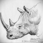 эскиз тату носорог 02.02.2020 №039 -rhino tattoo sketches- tatufoto.com