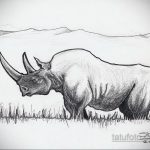 эскиз тату носорог 02.02.2020 №041 -rhino tattoo sketches- tatufoto.com