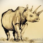 эскиз тату носорог 02.02.2020 №050 -rhino tattoo sketches- tatufoto.com