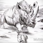 эскиз тату носорог 02.02.2020 №054 -rhino tattoo sketches- tatufoto.com