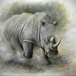 эскиз тату носорог 02.02.2020 №055 -rhino tattoo sketches- tatufoto.com
