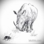 эскиз тату носорог 02.02.2020 №066 -rhino tattoo sketches- tatufoto.com