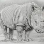 эскиз тату носорог 02.02.2020 №067 -rhino tattoo sketches- tatufoto.com