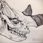 эскиз тату носорог 02.02.2020 №069 -rhino tattoo sketches- tatufoto.com