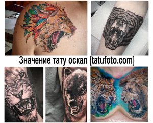 Фото коллажа татуировок с изображением оскала льва, медведя и других животных. Разнообразие стилей и цветов, демонстрирующее различные варианты дизайна.
