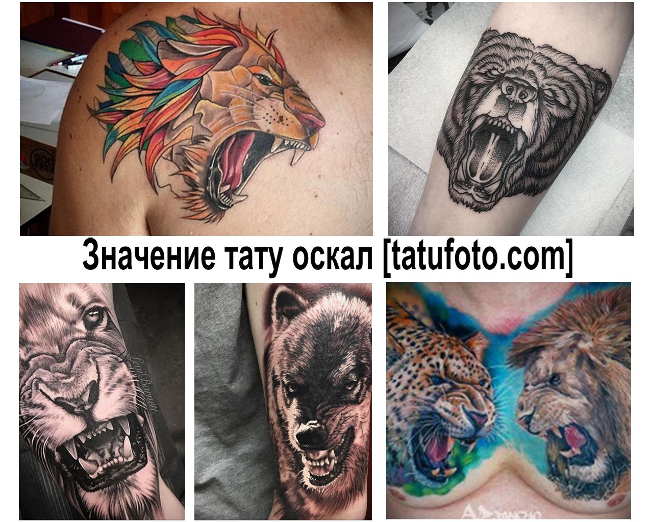 Значение тату оскал - информация про смысл рисунка и фото примеры готовых тату