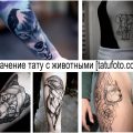 Значение татуировок с животными - информация про особенности рисунков и фото примеры готовых тату