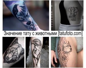 Фото коллажа с различными татуировками животных: волк, слон, медведь, орел и другие. Идеи для тату с животными в разных стилях.
