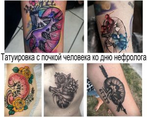 Фото коллажа татуировок почек: различные изображения почек в разных стилях и техниках, демонстрирующие разнообразие идей для татуировок.