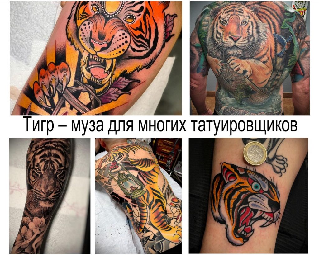 Тигр – король джунглей и муза для многих татуировщиков - информация и фото примеры
