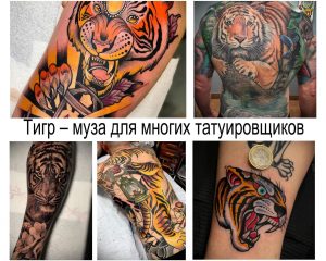 Фото тату: коллаж из нескольких изображений татуировок тигров, выполненных в различных стилях, включая олд скул, реализм и геометрию.