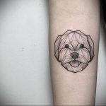 Фото геометрической тату с животным 12.03.2020 №011 -animal tattoos- tatufoto.com