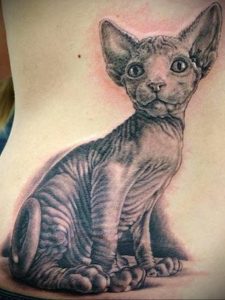 Фото тату котенка породы сфинкс на спине. Реалистичный черно-белый рисунок подчеркивает уникальную внешность животного.