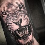 Фото пример рисунка тату оскал льва 05.02.2020 №002 -grin lion tattoo- tatufoto.com