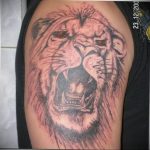 Фото пример рисунка тату оскал льва 05.02.2020 №007 -grin lion tattoo- tatufoto.com