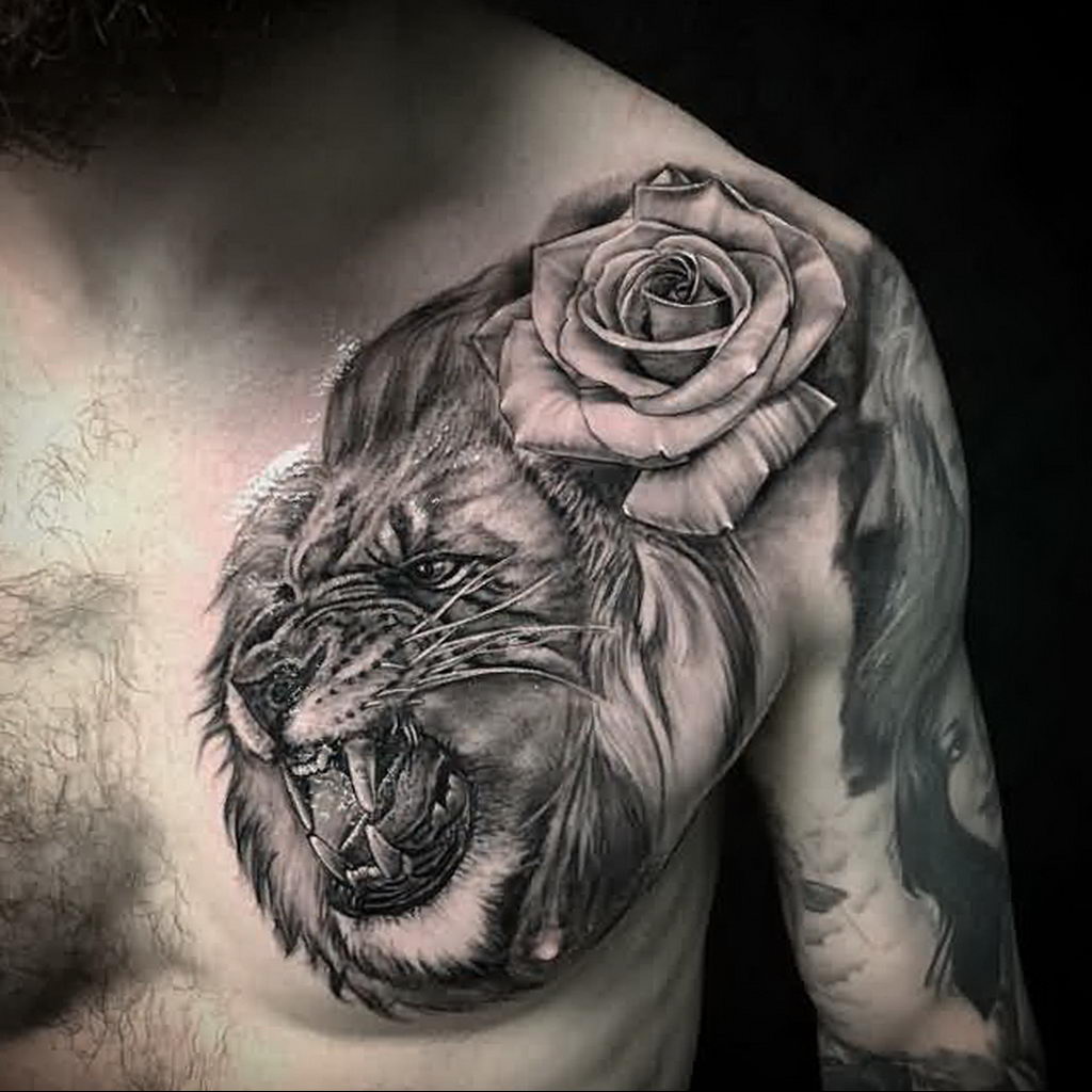 Фото пример рисунка тату оскал льва 05.02.2020 №013 -grin lion tattoo- tatufoto.com