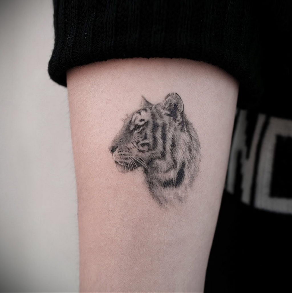Фото примеры татуировок с тигром от 11.03.2020 – фото для tatufoto.com 4