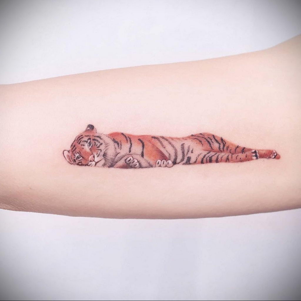 Фото примеры татуировок с тигром от 11.03.2020 – фото для tatufoto.com 6