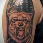 Фото рисунка тату оскал волка 05.02.2020 №016 -wolf grin tattoo- tatufoto.com