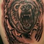 Фото рисунка тату оскал медведя 05.02.2020 №008 -tattoo grin bear- tatufoto.com