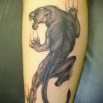 Фото рисунка тату оскал пантеры 05.02.2020 №036 -panther grin tattoo- tatufoto.com