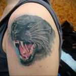 Фото рисунка тату оскал пантеры 05.02.2020 №058 -panther grin tattoo- tatufoto.com