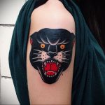 Фото рисунка тату оскал пантеры 05.02.2020 №114 -panther grin tattoo- tatufoto.com