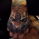 Фото рисунка тату оскал тигра 05.02.2020 №025 -tiger grin tattoo- tatufoto.com