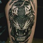 Фото рисунка тату оскал тигра 05.02.2020 №028 -tiger grin tattoo- tatufoto.com