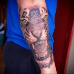 Фото рисунка тату оскал тигра 05.02.2020 №049 -tiger grin tattoo- tatufoto.com