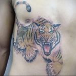 Фото рисунка тату оскал тигра 05.02.2020 №057 -tiger grin tattoo- tatufoto.com