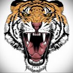 Фото рисунка тату оскал тигра 05.02.2020 №065 -tiger grin tattoo- tatufoto.com