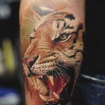 Фото рисунка тату оскал тигра 05.02.2020 №079 -tiger grin tattoo- tatufoto.com