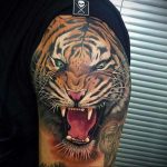 Фото рисунка тату оскал тигра 05.02.2020 №083 -tiger grin tattoo- tatufoto.com