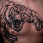 Фото рисунка тату оскал тигра 05.02.2020 №100 -tiger grin tattoo- tatufoto.com