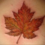 Фото тату про любовь Кленовый Лист 03.02.2020 №126 -maple leaf tattoo- tatufoto.com