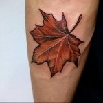 Фото тату про любовь Кленовый Лист 03.02.2020 №131 -maple leaf tattoo- tatufoto.com