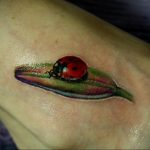 Фото тату про любовь рисунок Божья Коровка 03.02.2020 №043 -ladybug- tatufoto.com