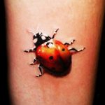 Фотография реалистичной татуировки божьей коровки на руке. Детализированный рисунок с яркими цветами и тенями, создающий эффект объема.