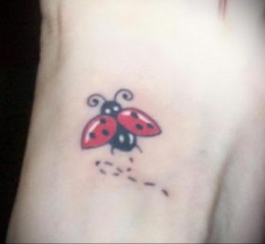 Фото тату про любовь рисунок Божья Коровка 03.02.2020 №123 -ladybug- tatufoto.com