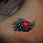 Фото реалистичной татуировки божьей коровки на плече с каплями росы. Идеально для любителей природы.
