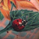 Фото тату божьей коровки, ползущей по лепесткам оранжевых цветов. Яркий и красочный рисунок.
